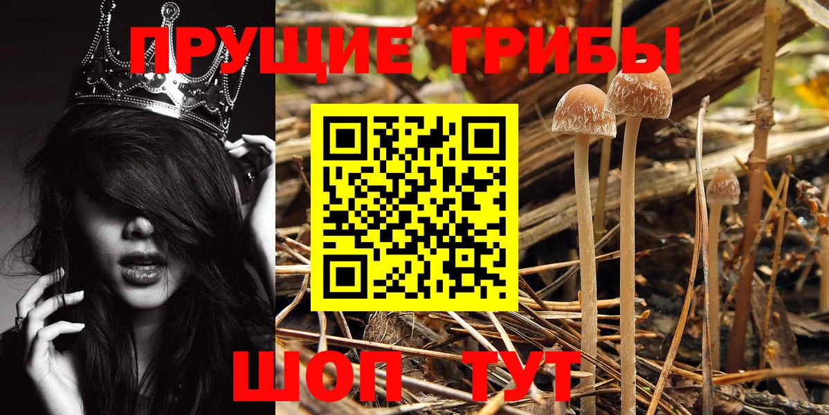 Псилоцибиновые грибы Psilocybe  Вход с VPN  Галлюциногенные грибы MAGIC MUSHROOMS  Тосно 